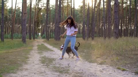 Girl playing with her dog in the forest at sunset