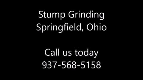 Stump Grinding Springfield Ohio