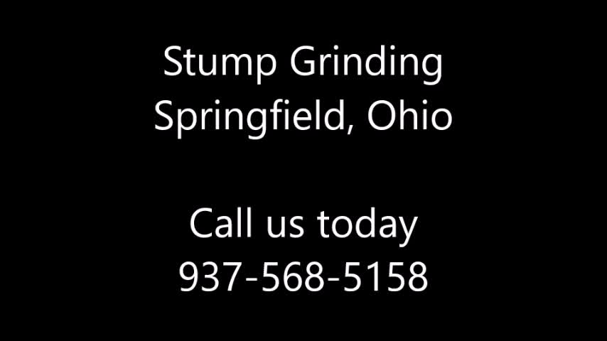 Stump Grinding Springfield Ohio