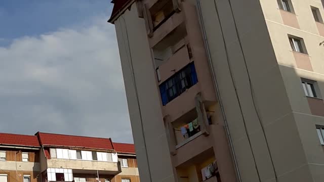 Valea Aurie, langa profi, radiatie radiofrecventa