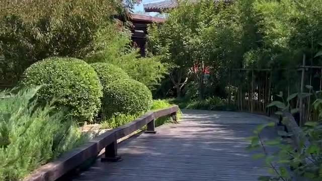 The wind in the park is comfortable