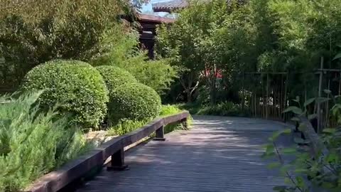 The wind in the park is comfortable