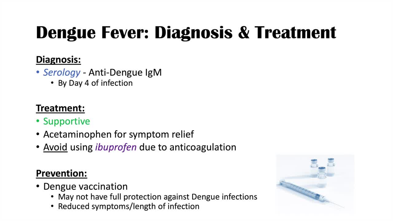 Dengue Fever | Pathophysiology