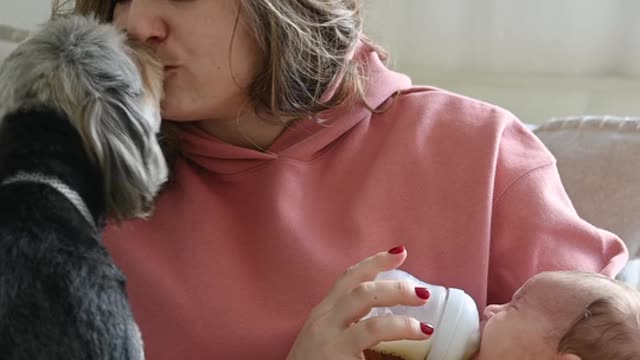woman kissing dog puppy while feeding child