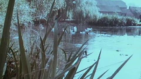 10146 Public Information Films - Lonely Water = 1973