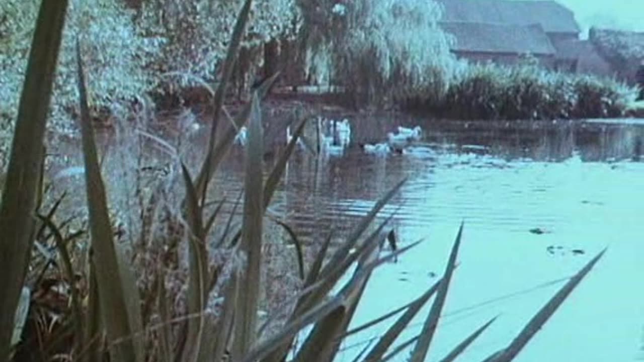 10146 Public Information Films - Lonely Water = 1973