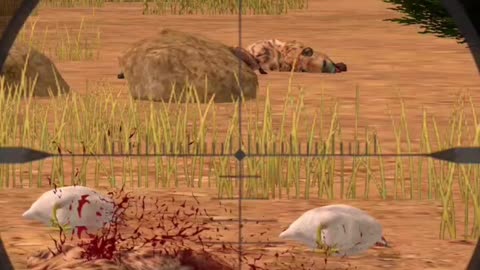 Awesome animal hunting game #hunting