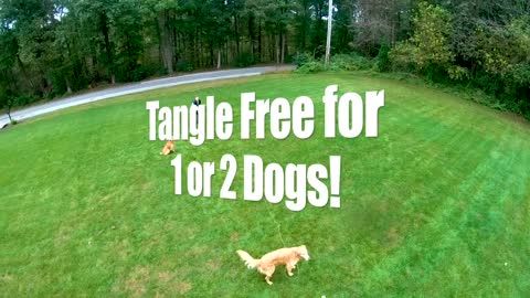 Tangle-free Dog Tie Out - Take your dogs with you!
