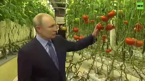 Putin visits greenhouse complex in Chukotka region