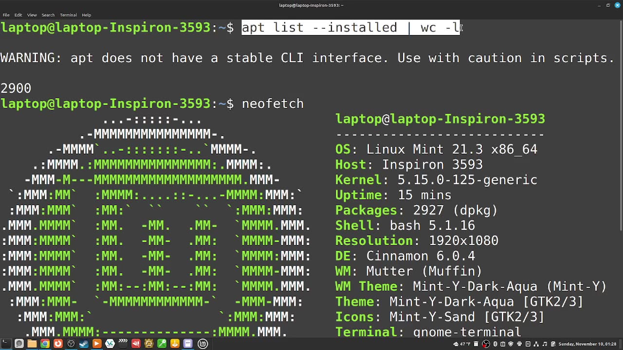 322_how to "see how many packages you have with apt list --installed | wc -l" command