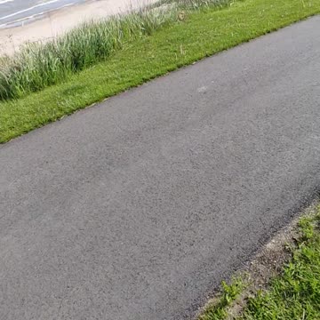 Today Murphy the Warrior Princess goes on an adventure