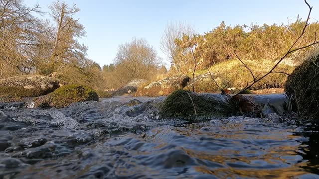 River. GoPro.