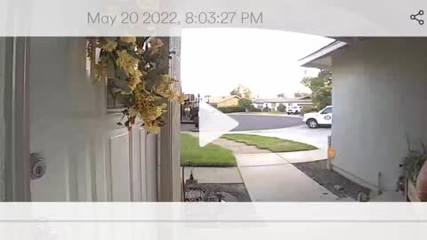 Scared UPS Driver w/ Sprinkler