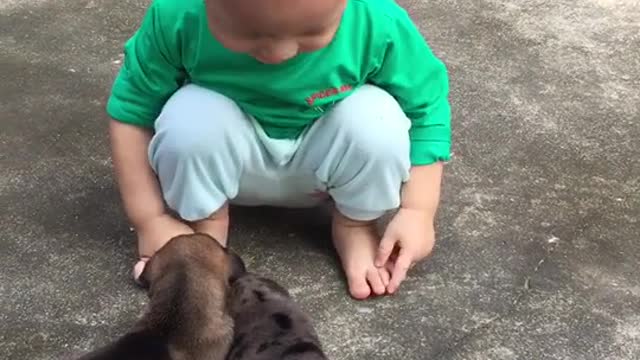 The boy playing with the puppy is very enthusiastic, it looks so cute