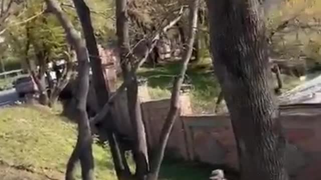Uniformed Russian soldier is so intoxicated, he trips on the curb and tumbles down the hill