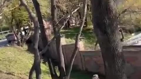 Uniformed Russian soldier is so intoxicated, he trips on the curb and tumbles down the hill