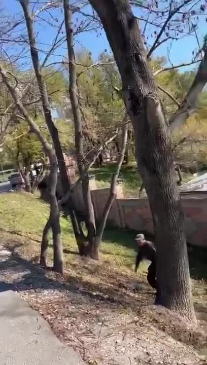 Uniformed Russian soldier is so intoxicated, he trips on the curb and tumbles down the hill