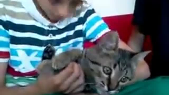 Cat Licks Boy's forehead