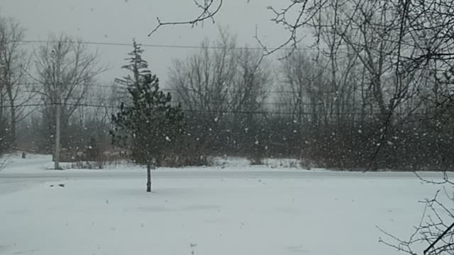 Heavy Lake Effect Snow In New York