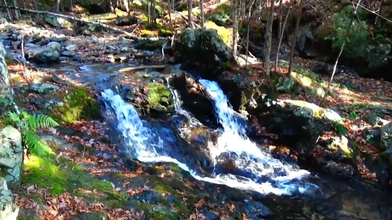 Cascade
