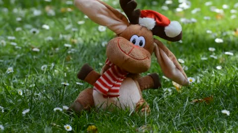 cute#video