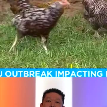 Another Egg Shortage Incoming