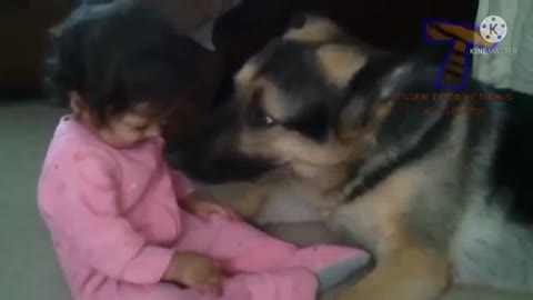 Cute baby playing with patience k9