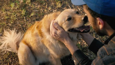 Dog being petted