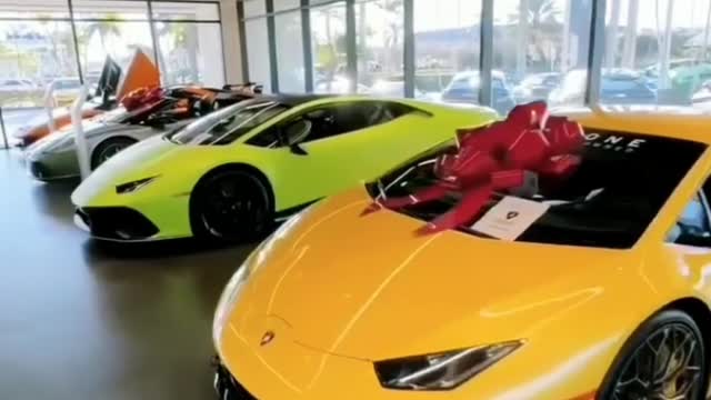 Luxurious car collection