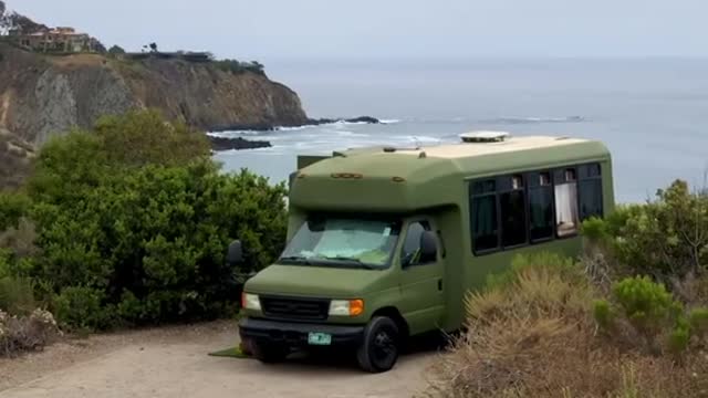 Dogs accompany their owners on trips