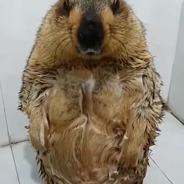 Shower Time, and..............Lovin It!