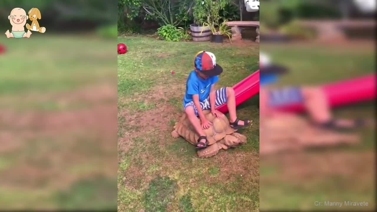 Cute babies and Tortoises become friends