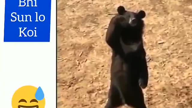 Somebody listen to this Bear