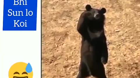 Somebody listen to this Bear