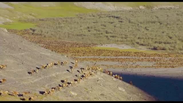 Earth: One Amazing Day | BBC Earth