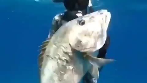 This is a beautiful and charming water-dwelling species