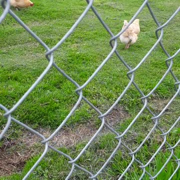 I love to encourage my children in the goodness of God.