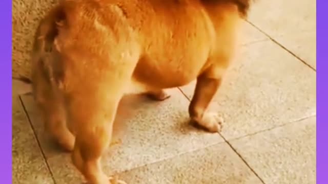 #short_Funny video