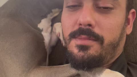 Affectionate Dog Cuddles Human Dad