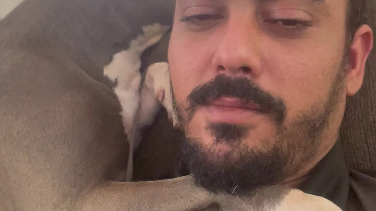 Affectionate Dog Cuddles Human Dad