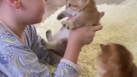 Kid Kissing Cute Kittens