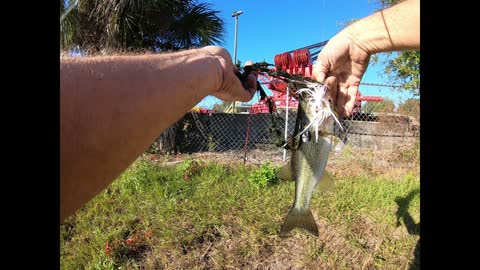 apopka Fl. industrial park fishing