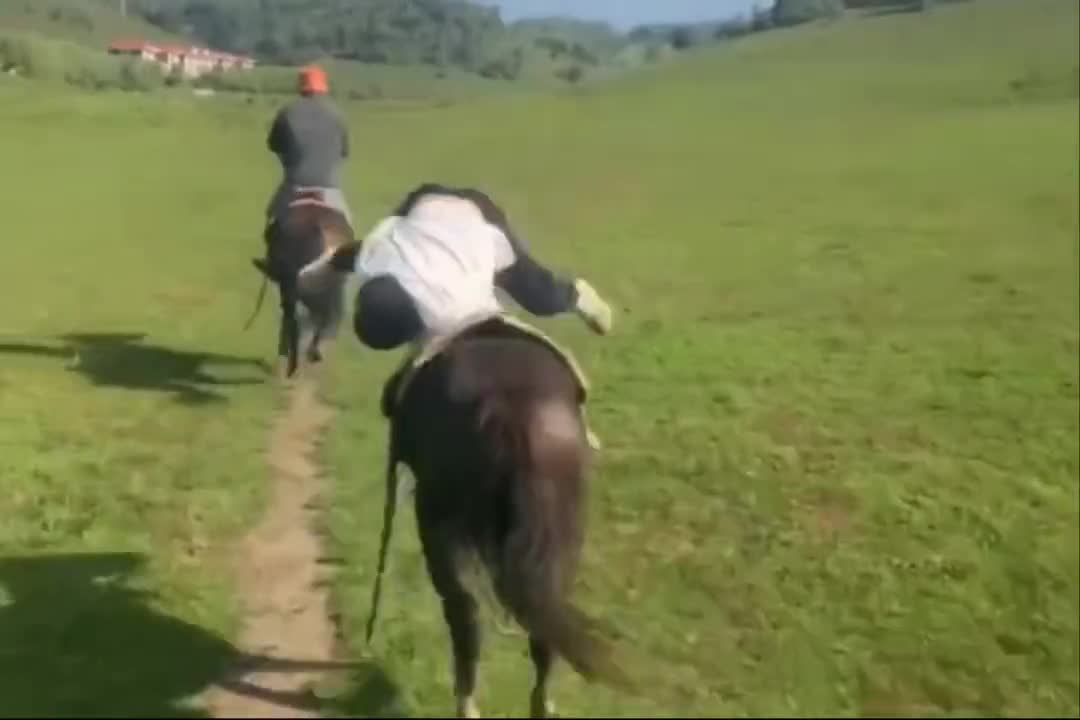 Anybody want to go riding with me
