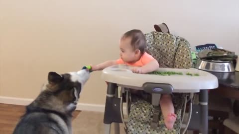 Cute Babies Playing With Dogs!