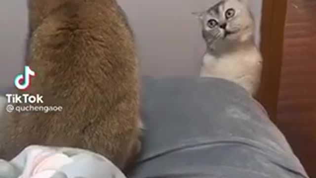 They quaralled again and it seems that the more serious this time😂