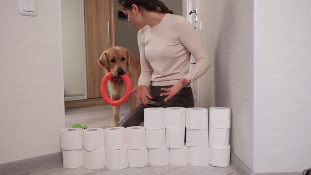 My Dog’s Reaction To The Toilet Paper Wall Challenge