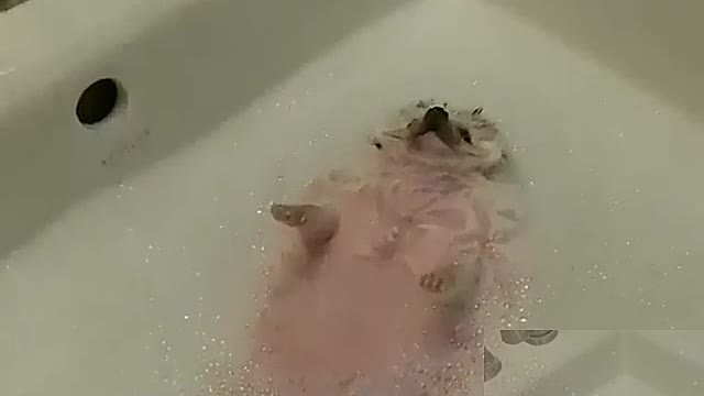 The bath