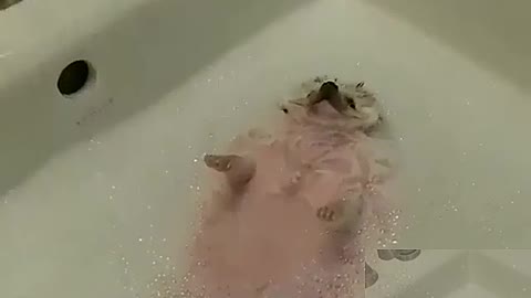 The bath