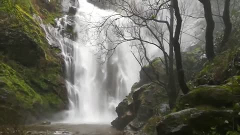 Cascada de toja