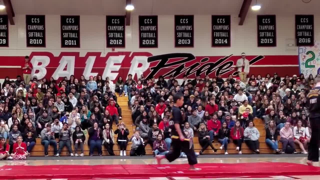 Brothers go straight BEAST MODE on a martial arts demo for their high school